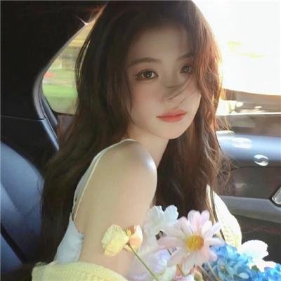 海豚的故事2海报